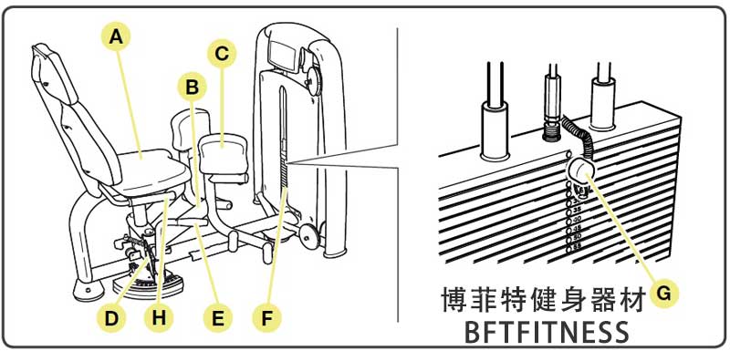 向日葵污APP内展向日葵视频网页版