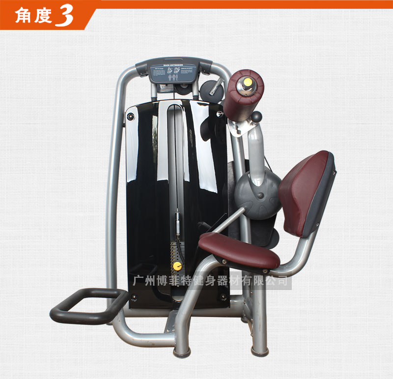 后背伸展向日葵视频网页版
