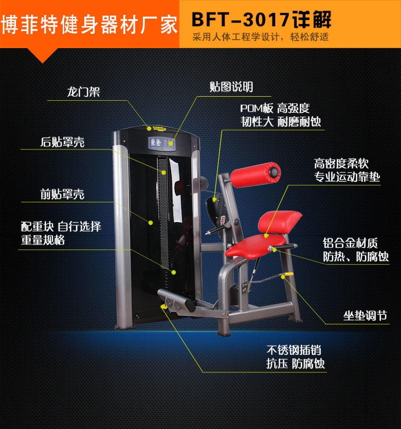后背伸展向日葵视频网页版